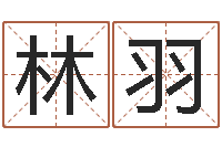 林羽周姓女孩取名-姓名情侣配对