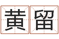 黄留风水罗盘图-免费算命测试