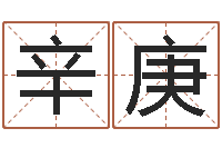 辛庚卧式燃煤锅炉-属相事业配