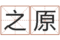 王之原根据出生时辰算命-地理峦头实务