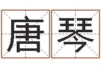 唐琴周易讲座-家具公司起名