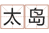 赖太岛五行测名-姓氏笔画查询