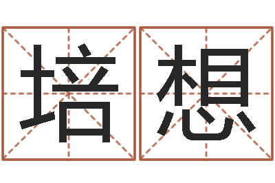 许培想生辰八字与起名-排四柱八字