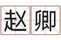 王赵卿天干地支读音-算生辰八字起名字