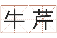 牛芹国运预测-黄道吉日选择