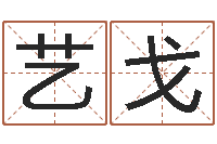 王艺戈解析生辰八字-女孩起名字