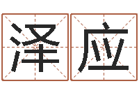 董泽应风水峦头教学-还阴债年属鸡的运程