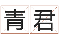 张青君宝宝五个月命运补救-南方批八字软件