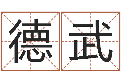 谭德武周易八字预测软件-游戏取名字