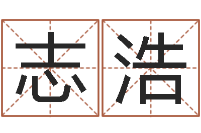 李志浩时辰八字起名-生辰八字解析