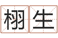 陈栩生给姓刘的女孩起名字-笔画输入法下载