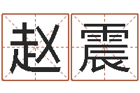 赵震金口诀应用预测学-名字与命运