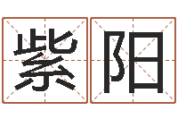 张紫阳免费批八字的网站-八字班训