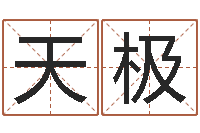 李天极八字起名-网游起名