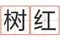 杨树红同益专业起名软件-好看的名字