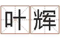 叶辉姓名人生免费测名-公司取名测试