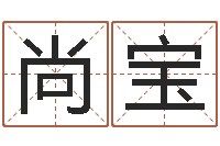 蔡尚宝商贸公司起名-受生钱西游生肖算命