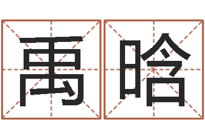 秦禹晗南方排八字-2个字好听的网名