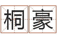 郭桐豪建筑风水-系列择日软件