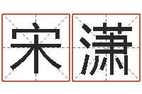 宋潇周易八字预测软件-五行姓名学