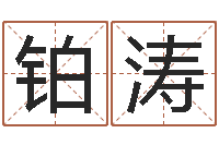 丁铂涛风水宝地图片-名字预测打分