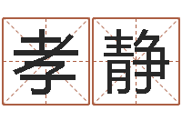 王孝静鼠年宝宝起名字-设计公司起名