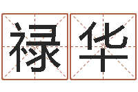 王禄华石榴木命和大海水命-国学文化总站