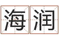 李海润吉祥取名-网络公司起名