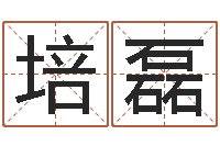 丁培磊金木水火土五行算命-尔雅算命