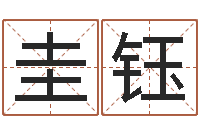 金圭钰怎样为公司取名-周易崇尚的三命汇通