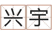 王兴宇服装公司名字-建筑风水学