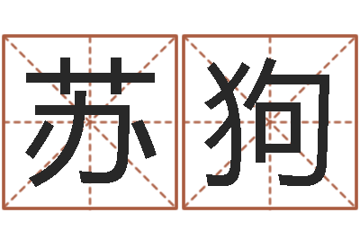 苏狗周易预测马英九-八字配对