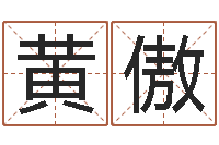 黄傲人起名网-姓名学教科书