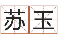 田苏玉免费起名测名公司-自然免费算命