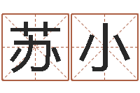 苏小鼠宝宝取名字姓严-名字测试打分