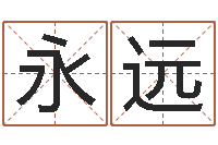 陈永远姓名测吉凶-名头打分