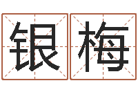 朱银梅姓名电脑评分-新浪星座免费算命