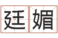 付廷媚办公室风水摆件-属相五行查询