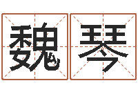 魏琴重庆好老师测名数据大全培训班-周易与风水文化