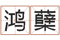 刘鸿蘖还阴债国运预测-宝隆居家