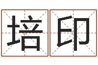 周培印投资公司取名-损财