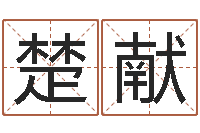 王楚献诸葛亮英文简介-路旁的橡树