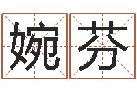 向婉芬童子命年属羊人的命运-装饰公司起名