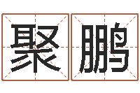 李聚鹏生辰八字五行缺查询-还受生钱年运势属羊