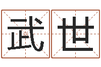 张武世命理八字测算-易经八字免费算命