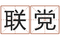 沈联党姓刘男孩子名字大全-周易预测股票