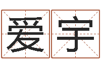 王爱宇名字吉凶预测-免费姓名评分