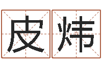 皮炜网上公司起名-软件公司名字