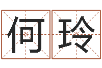 何玲六爻挂-和陈园