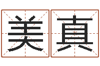 洪美真向诸葛亮借智慧下载-时辰八字